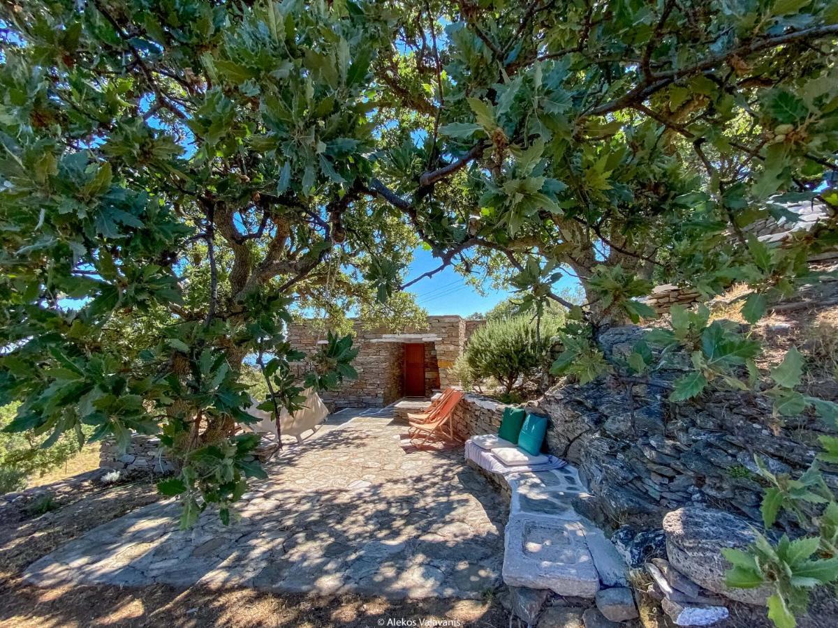 Villa Under Royal Oaks Pera Meria Exterior foto